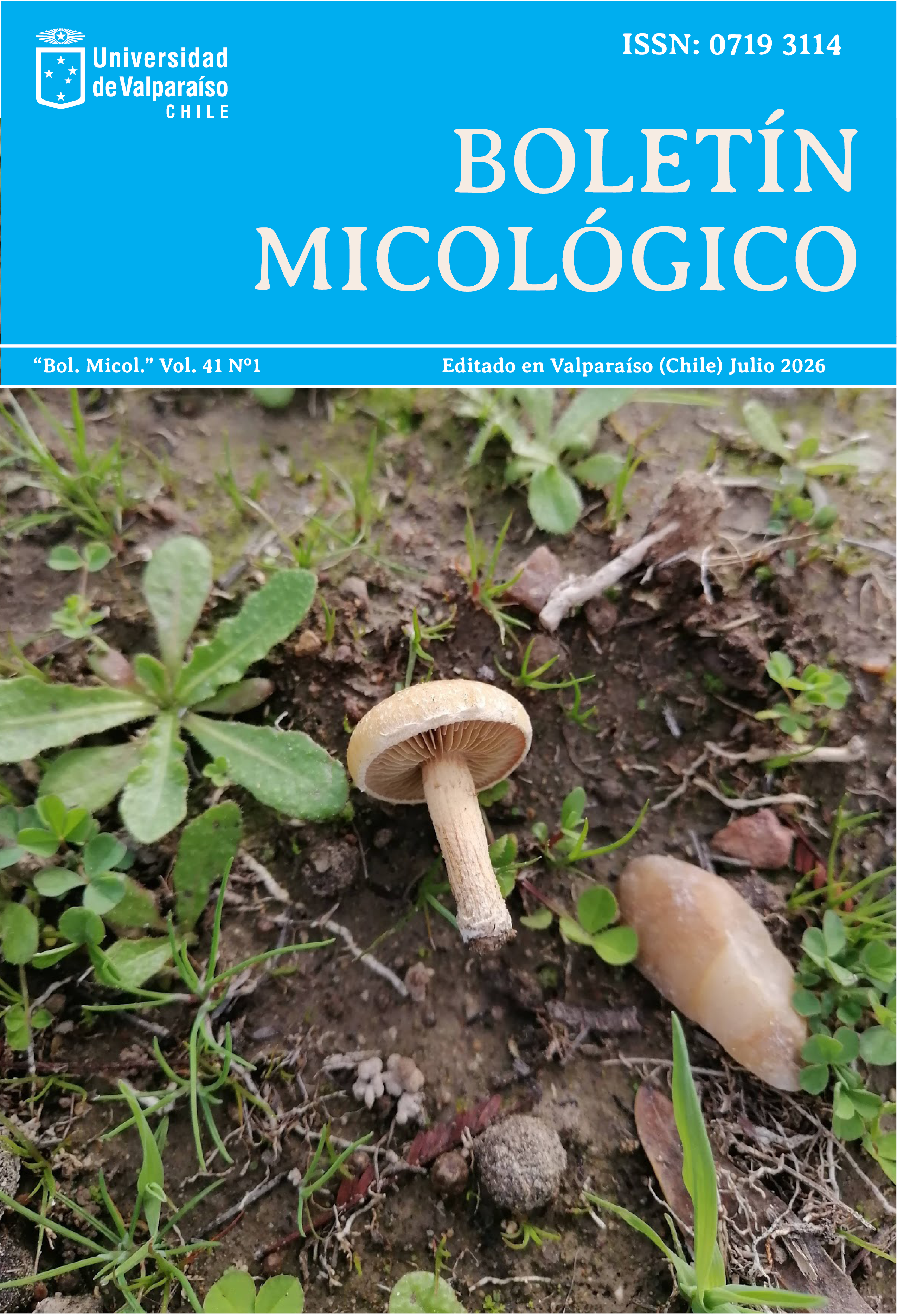 					Ver Vol. 41 Núm. 1 (2026)
				